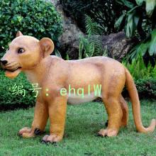Ⱦ