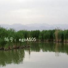 ʱ