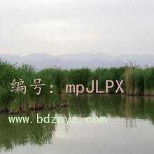 ûа취