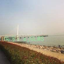 ûа취